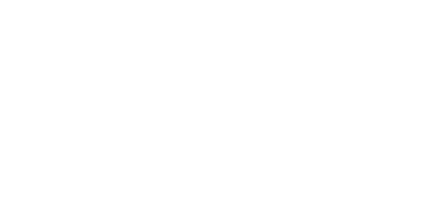 Dallas Global Partners